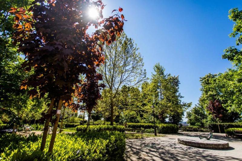 Apartament Center Gradec *